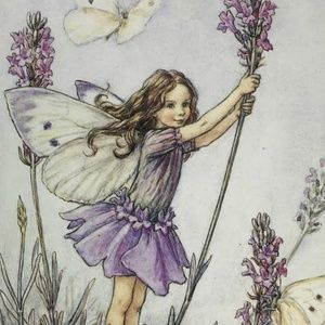 Meet your Posher, Quinn